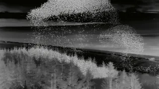 Divoké ostrovy (2/5)