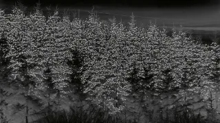 Divoké ostrovy (2/5)
