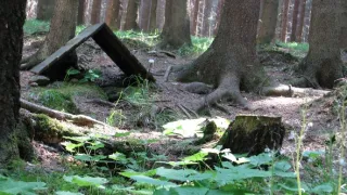 Zázračné studánky