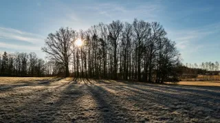 Místo zločinu České Budějovice (5/13)
