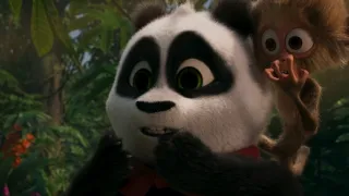 Medvedík panda v Afrike