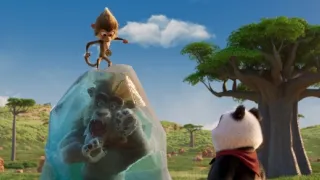 Medvedík panda v Afrike