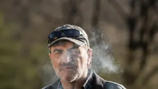 Lajf
