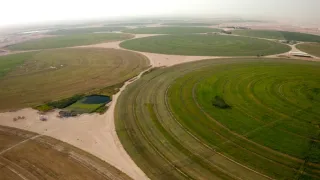 Katar: Perly pouště
