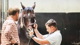 O lidech a koních (8)