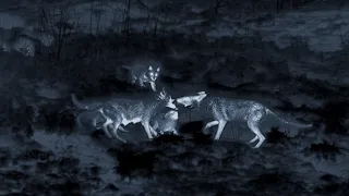 Divoké ostrovy (3/5)