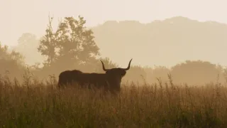 Divoké ostrovy (3/5)