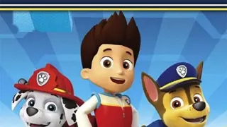 Labková patrola (9)