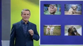 Zázraky přírody