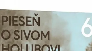 Pieseň o sivom holubovi