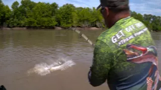 Království divočiny: Kostlíni, Spojené státy