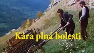 Kára plná bolesti