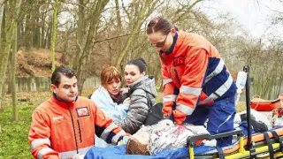 Anatomie života (4)