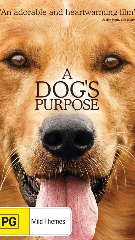 Psia duša (A Dog's Purpose) - fotogaléria
