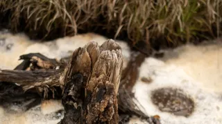 Cyklodálky 2 (4/8)