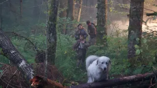 Bella a Sebastian: Dobrodružství pokračuje