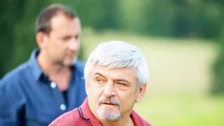 Odznak Vysočina II (8)