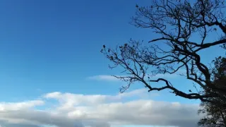 Na cestě po Glasgow