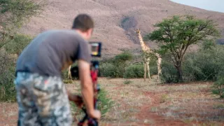Soužití v africké divočině