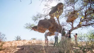 Soužití v africké divočině
