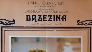 Brezový háj