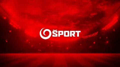 Šport