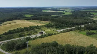 Zvířecí přechody