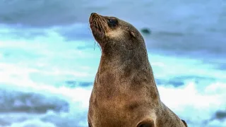 Mocné oceány (1)