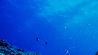 Mocné oceány (1)