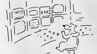 Správa o medveďoch