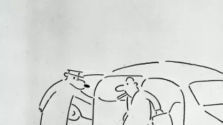 Správa o medveďoch