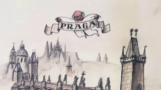 Správa o medveďoch