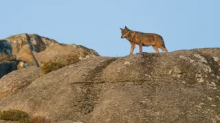 Nezkrotné Portugalsko (4)