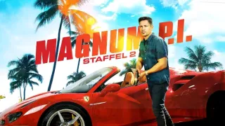 Magnum II (14)