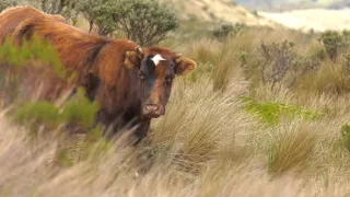 Na cestě po kolumbijské Cauce