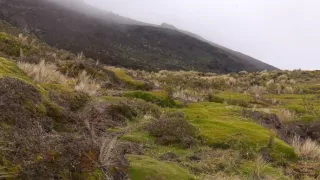 Na cestě po kolumbijské Cauce