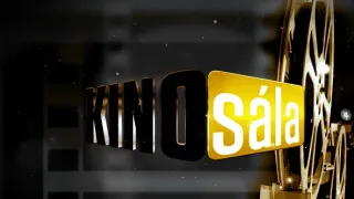 Kinosála (17)