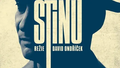 Ve stínu