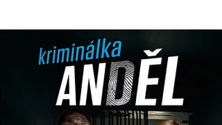 Kriminálka Anděl III (1)