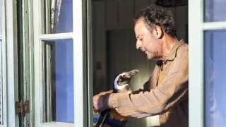 Môj kamarát tučniak