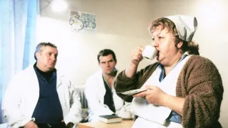 Dobří holubi se vracejí