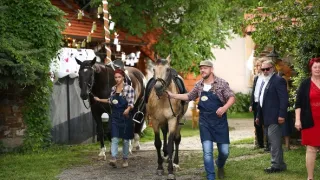 Slunečná (113)