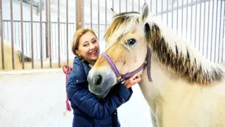 Krejzovi (69)