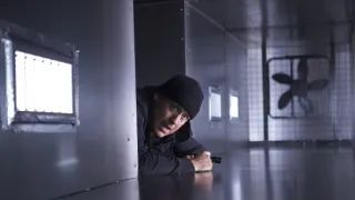 Kanadská soda VI (5/14)