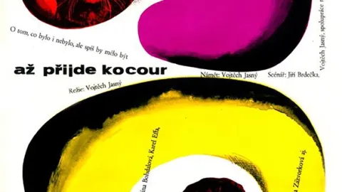Až přijde kocour