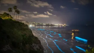 Divoké San Diego