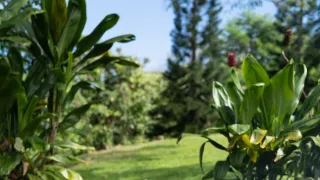 Objevování chutí s Gordonem Ramsaym