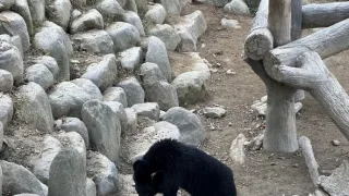 Přírodní krásy Jižní Koreje (1/2)