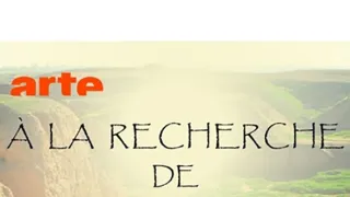 Hledání zapomenutého písma