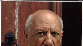 Picasso (1/3)